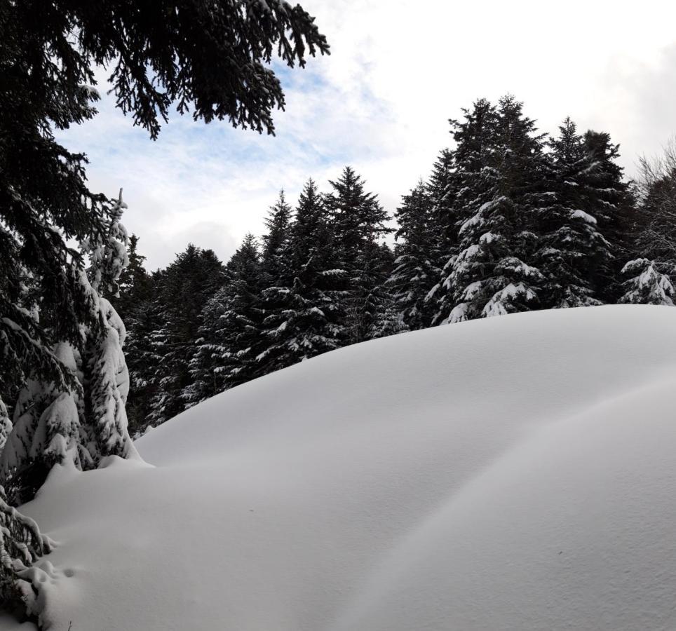Pyrenees - Le Nid D'Ax Apartment Ax-les-Thermes Bagian luar foto